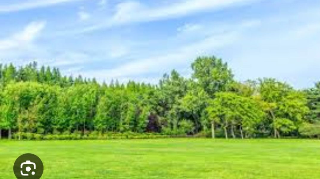 lv_7565769908718423301_20260102195611