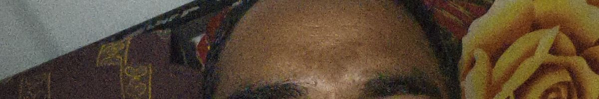 104405088602435781241 