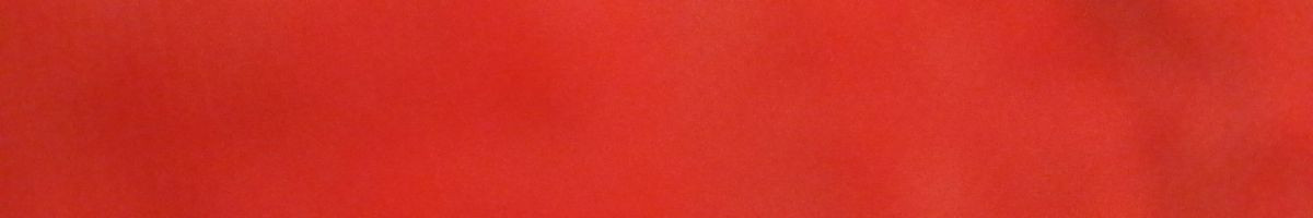 bageshwar_dhamsarkar 