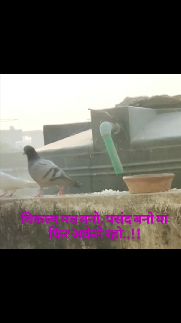 VID_20260122_081538_865_bsl