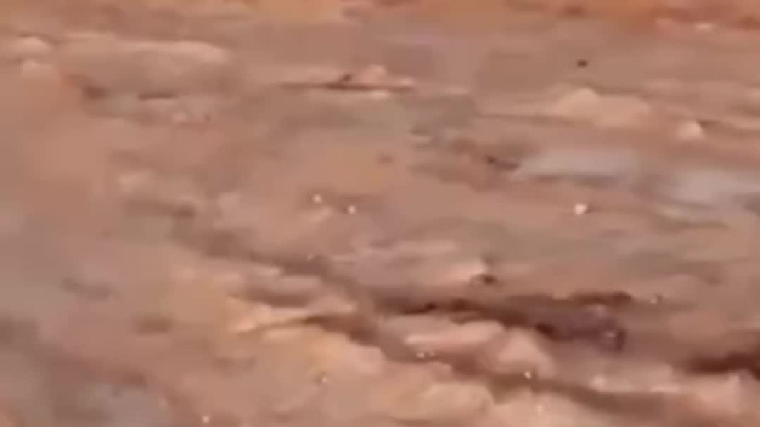 VID_20260107_001355_416