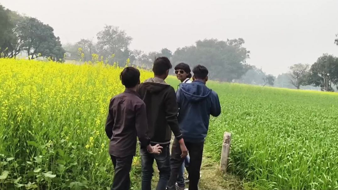 ⁣कॉमेडी कौशांबी