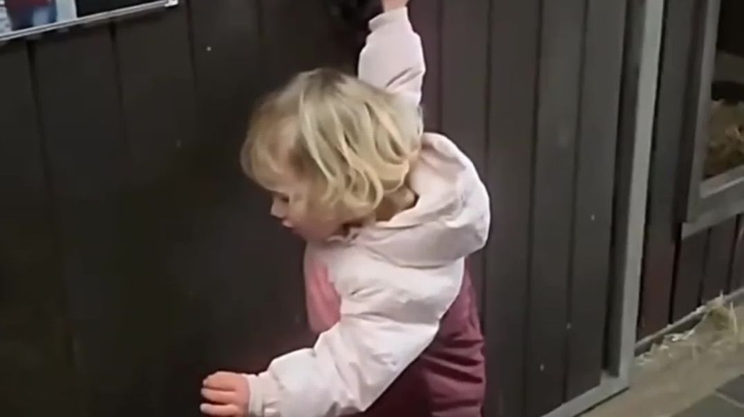 ⁣Viral video themes