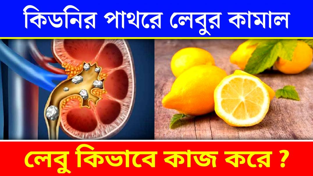 ⁣কিডনির পাথর নষ্ট করে পাতি লেবু | Kidney Stone