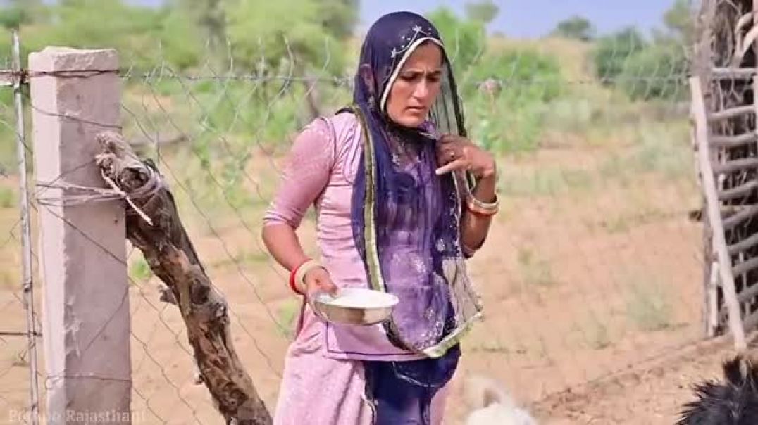 ⁣दो_नाटकबाज_भाई।।_Pempo_Rajasthani_।।_nimbaram_comedy(360p)