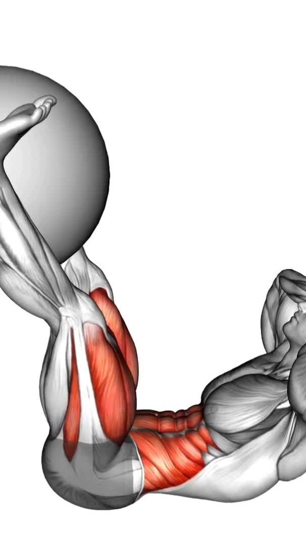 "8 Best Lower Abs Workouts to Burn Stubborn Belly Fat – No Gym Needed!"