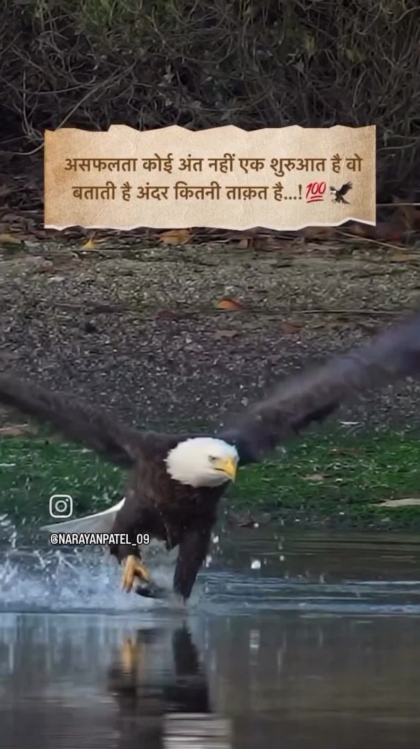 video_20260111_090732_edit