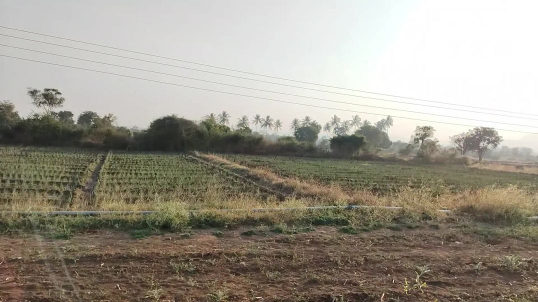 ⁣Aaj kheton mein Brahman kar nahin gaya tha