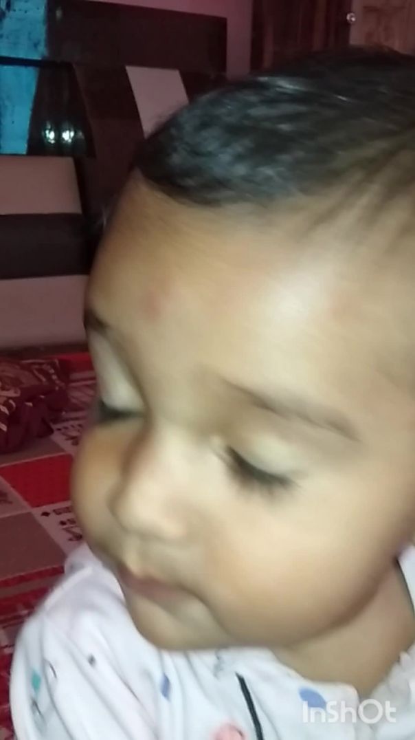 InShot_20250826_121833827