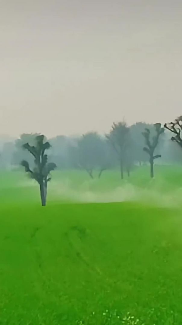 VID_20260119_041257_758