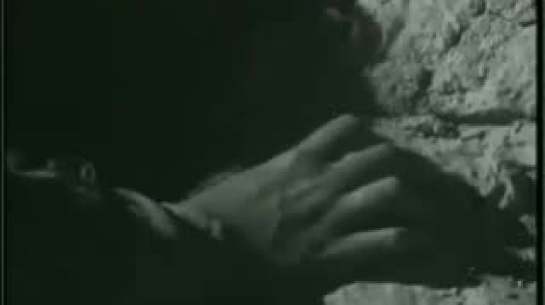 ⁣Kar Chale Hum Fida _ Mohd Rafi(360P)