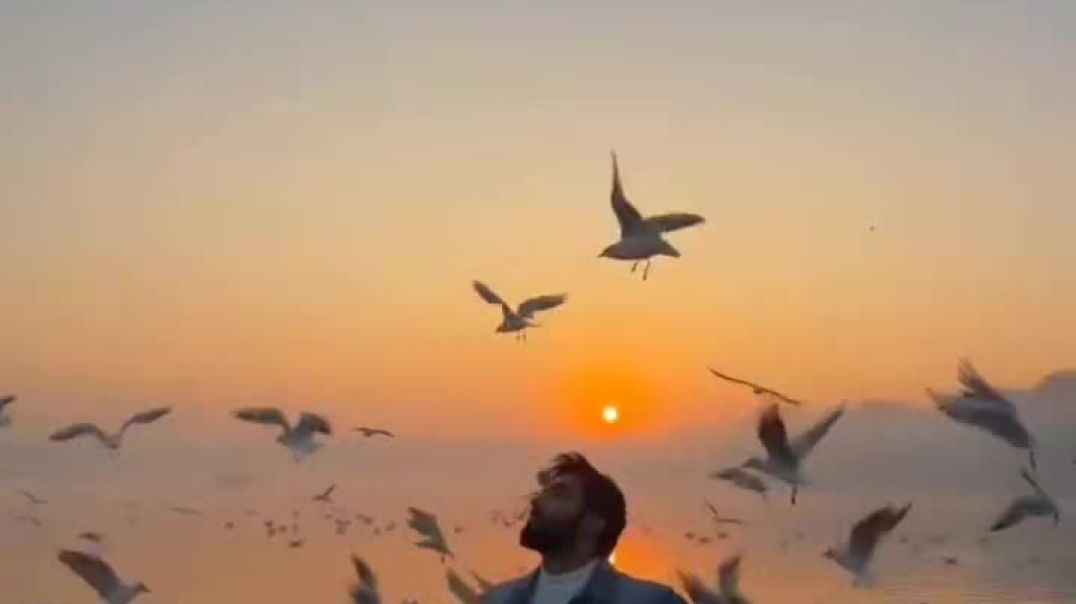 VID_20260107_232153_642