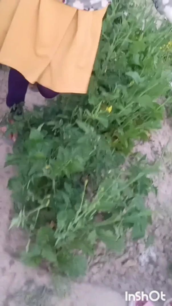 InShot_20260112_190202975