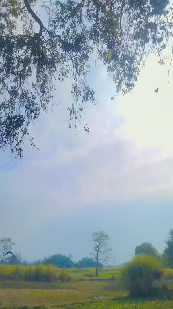 Devar jab khubsurat ba🐱⚔️