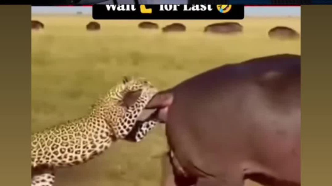 ⁣Flying Cup parachute #Respect  #science  #experiment  #tiktok  #tricks  #lifehacks  #trendingreel  #