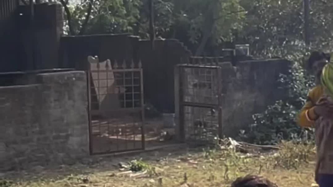 VID_20260106_235732_260