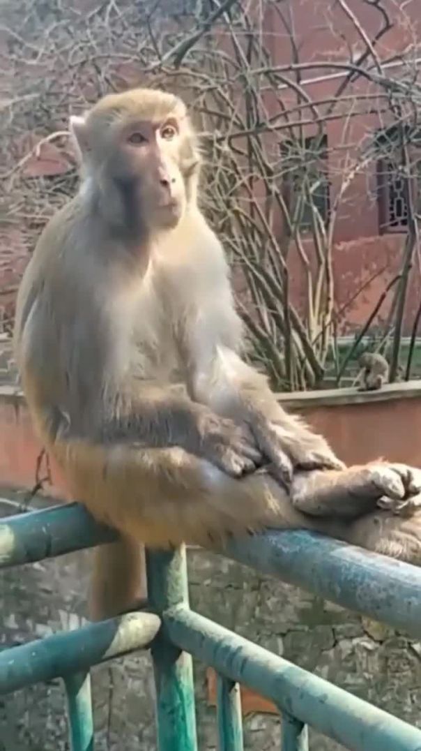 866b2008a124dd8a4219955e009edc8d