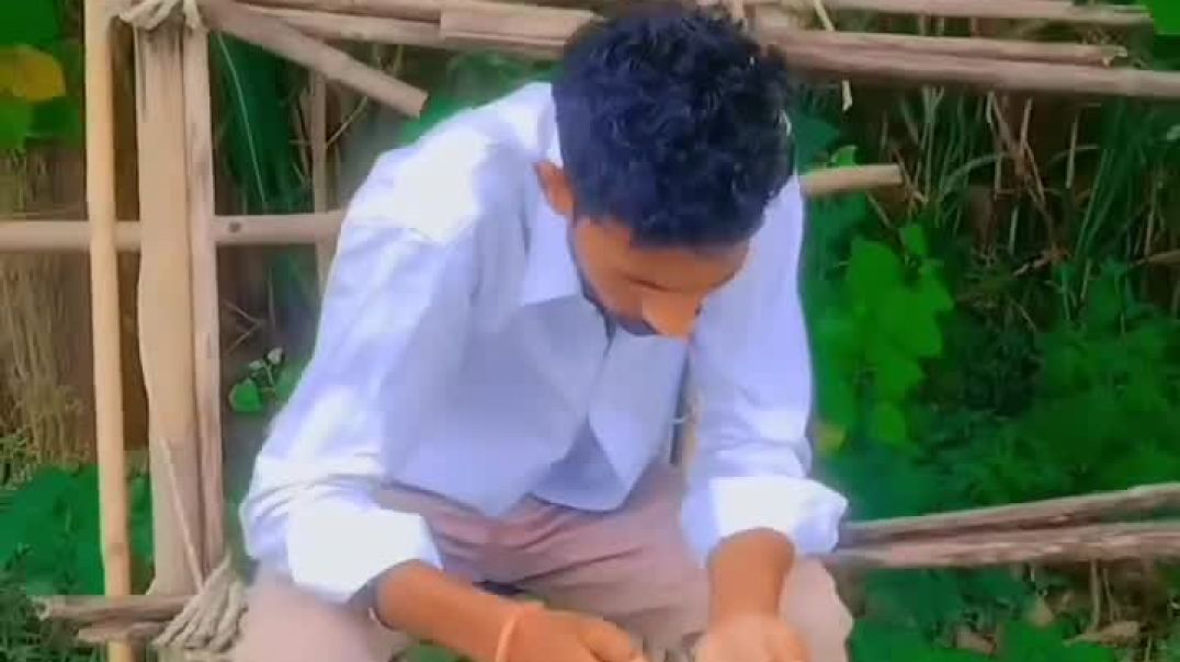 VID_20251120_201947_585