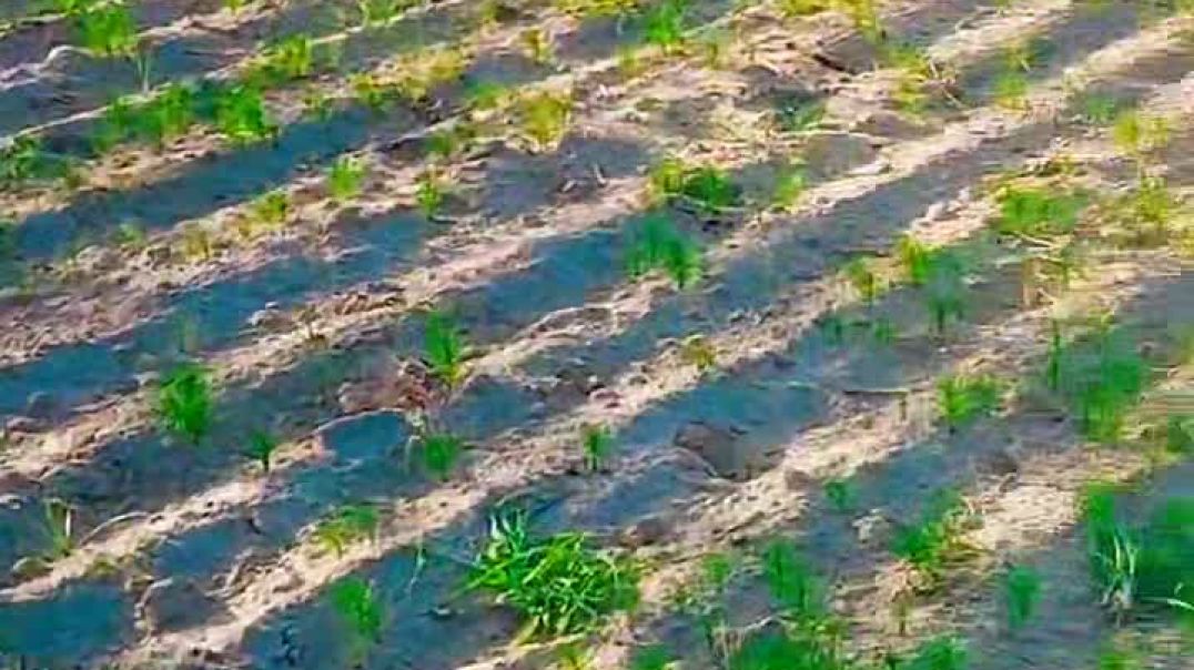 VID_20251226_032420_143