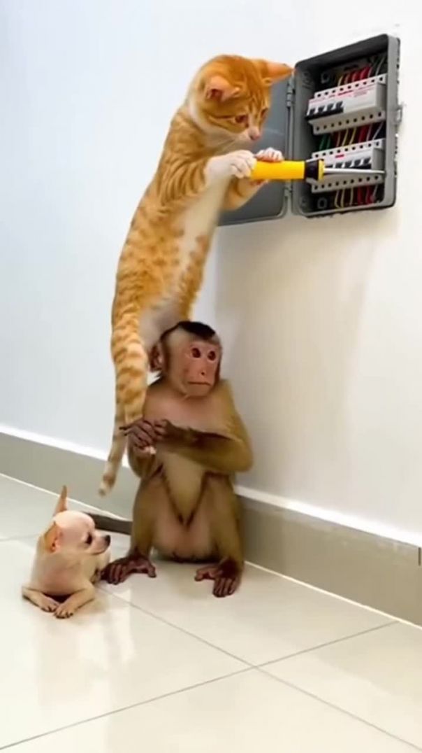 “Wait till the end 😂”