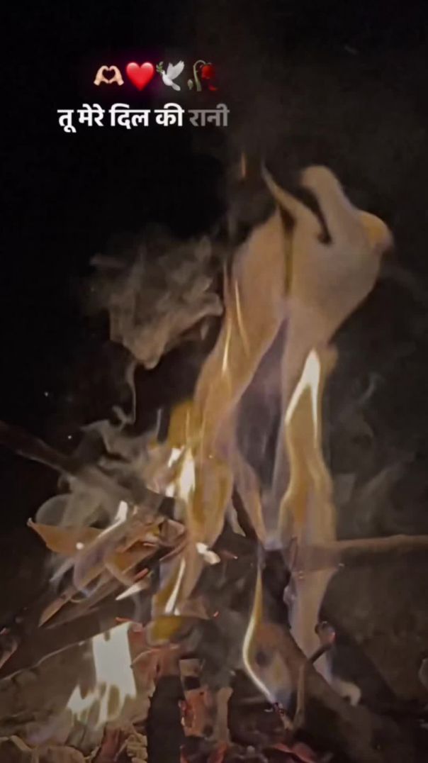 VID_20260109_045248_002