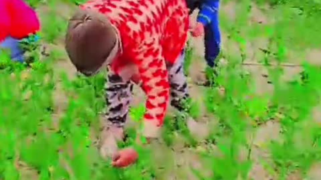 ⁣VID-20251228-WA0021