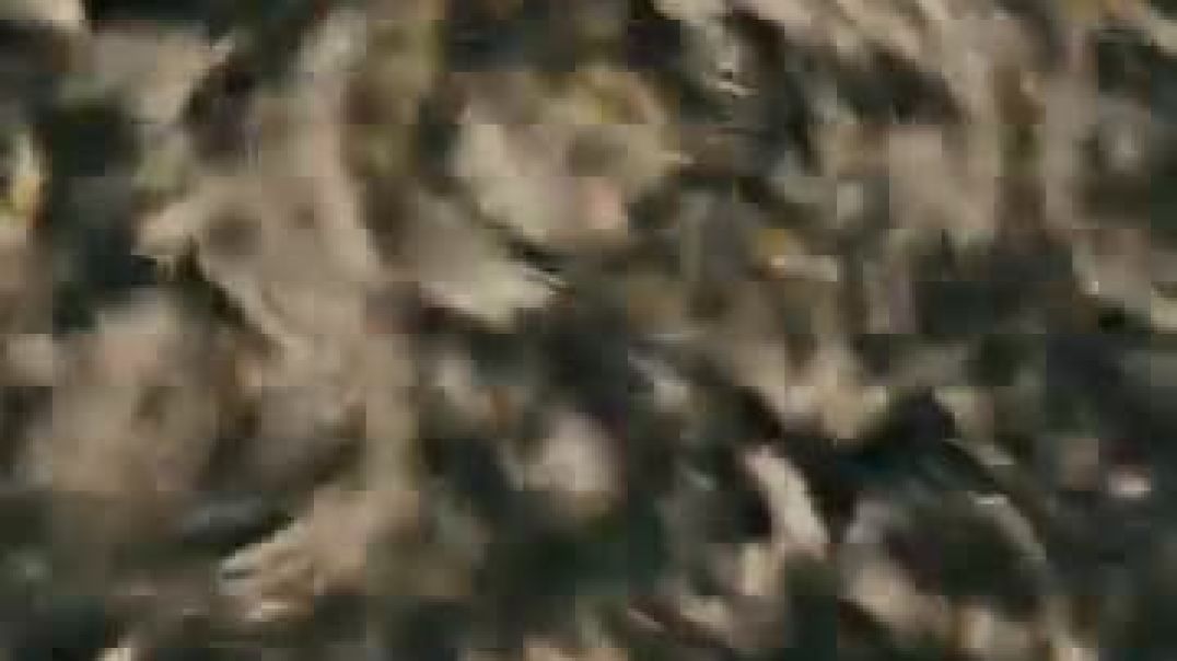 ⁣SaveClip#funny#comedy#