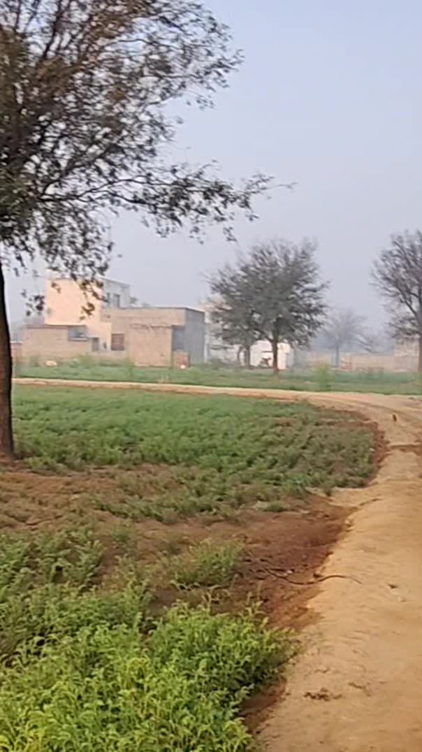 video_20260122_082714