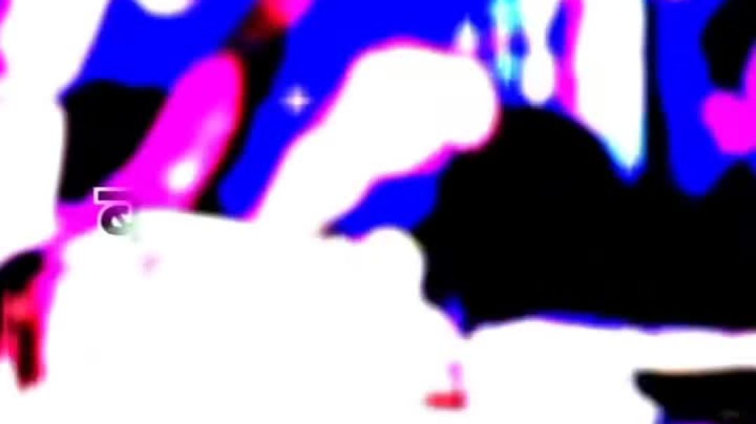 VID_27440520_143149_322