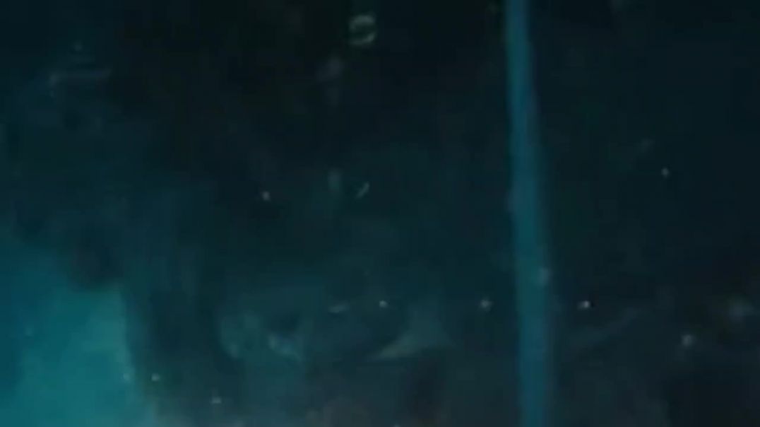 ⁣Godzilla creature movie