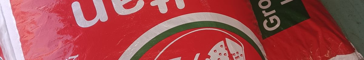 114971935329328405496 