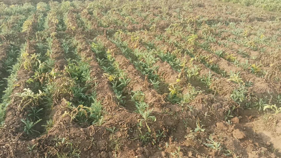 ⁣Me subhah time video viral kese karta hu 2026