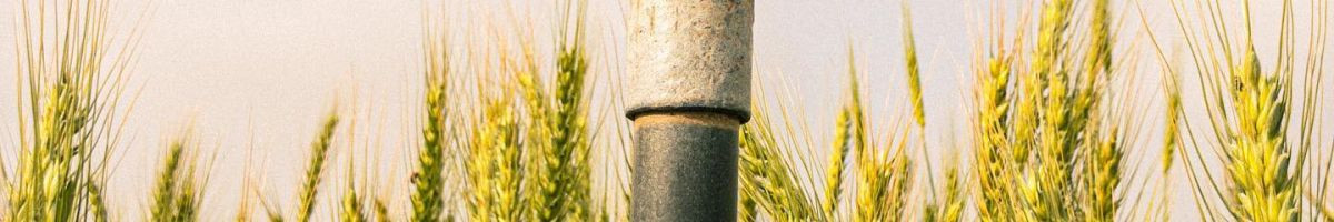 rajasthaniagriculture