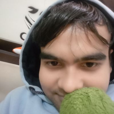 Vinykritam Vinykritam