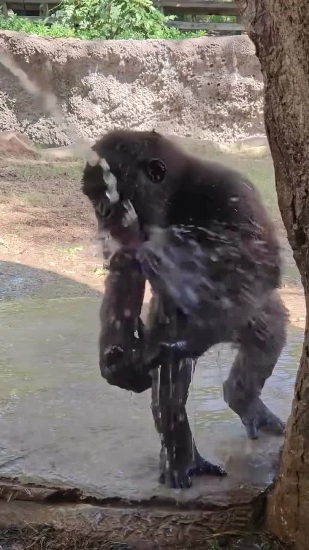 28a2ce9164b845140d507b45b9dc8936_720w