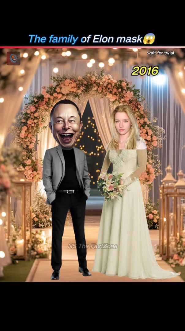 Elon Musk 6 wife 14 babys fact