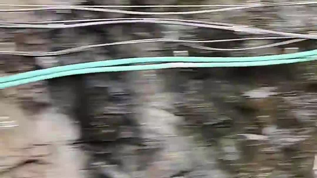 trandingshorts_gadwalisong_comedy_dilouge_travel_nature_adventure_mountains_naturcheflife