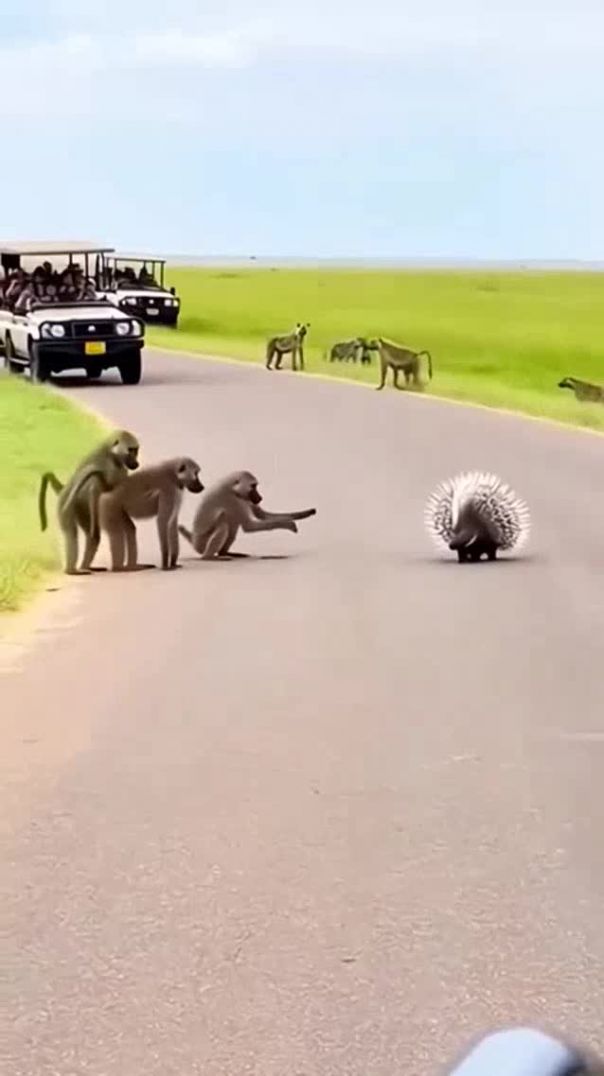 [threads_1768491194558(1280 × 720)]