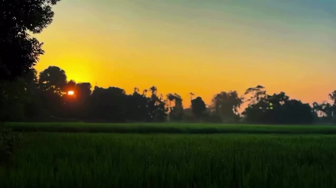 ⁣Nature lover follow me guys