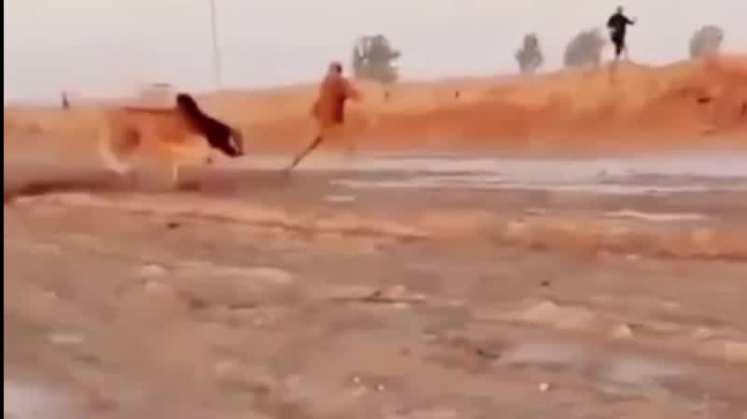 ⁣जानवर से पंगा मत लेना 😱🤣🤣