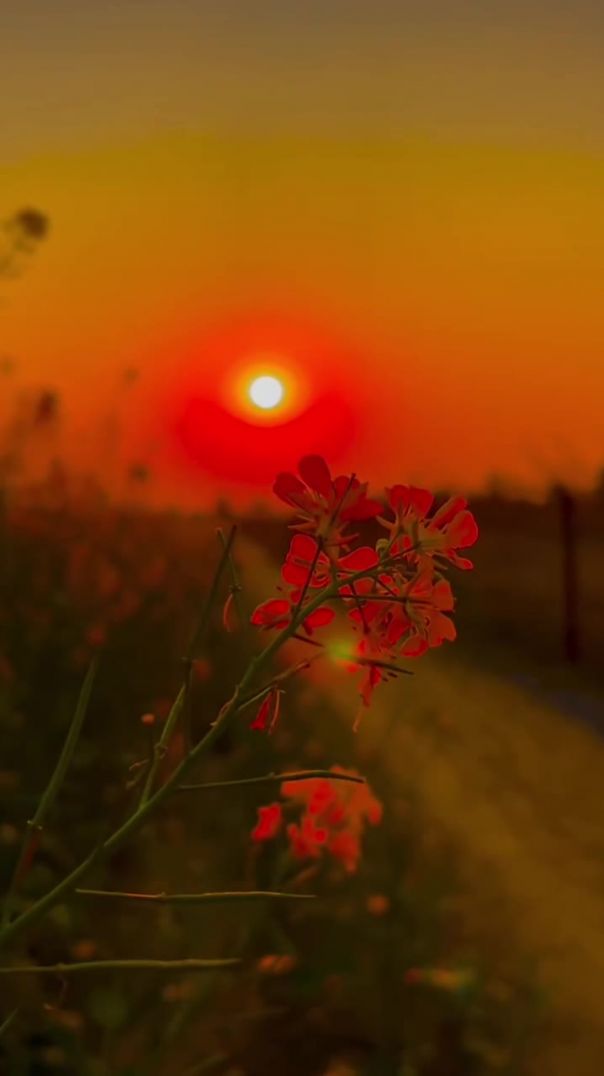 VID_20260128_101826_001