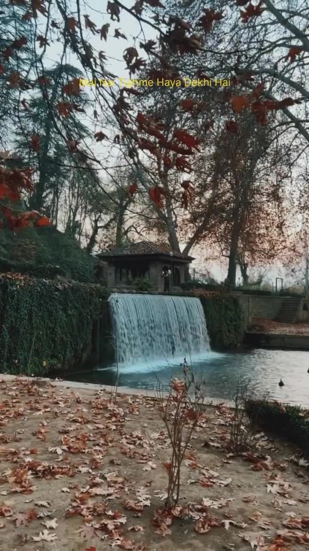 iamsrkog-20260112-0001