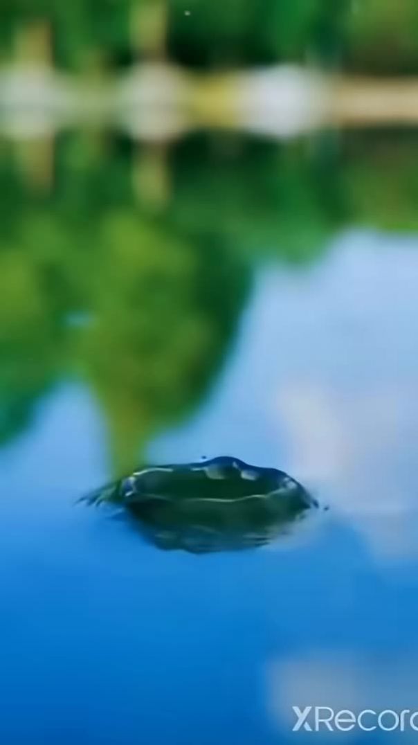 Krishna_bhagwan_status_video_Krishna_status_for_WhatsApp_480P