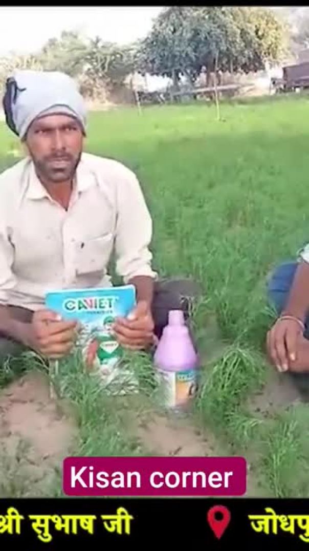 sumitomo caviet _ sumitomo tareef _ caviet  Tareef _ केवीएट  तारीफ _ fungicide_tebuconazole 25 ! Apn