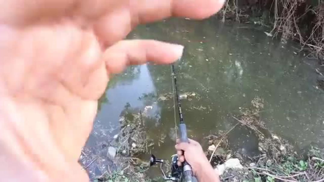 एक_धम्माल__फिशिंग,कुकिंग_आणि_कॅम्पिंग_चा_व्हिडिओ,_amazing_fishing_cooking_and_camping_video