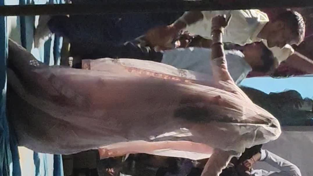 ⁣राजस्थानी डांस वीडियो नया वीडियो 2026