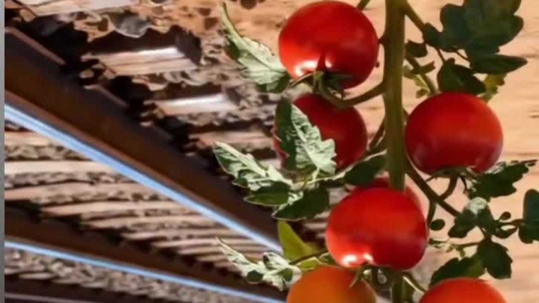 VID_20260105_030533_044