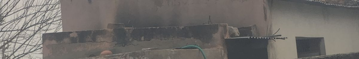 114768529793262071828 