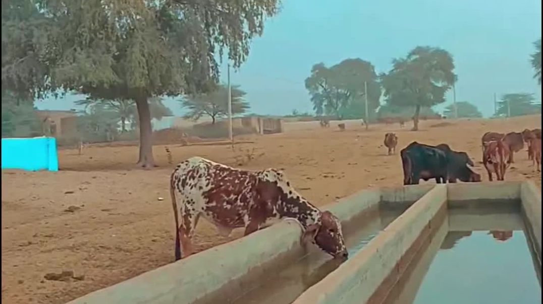 VID_20260105_222627_092~2