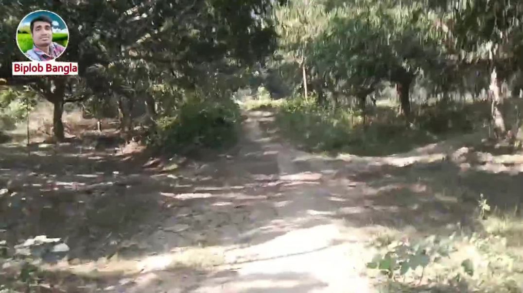 ⁣What a terrible road